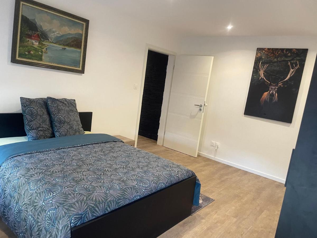 Superbe Appartement Au Rdc Avec Cheminee Villerupt Zewnętrze zdjęcie