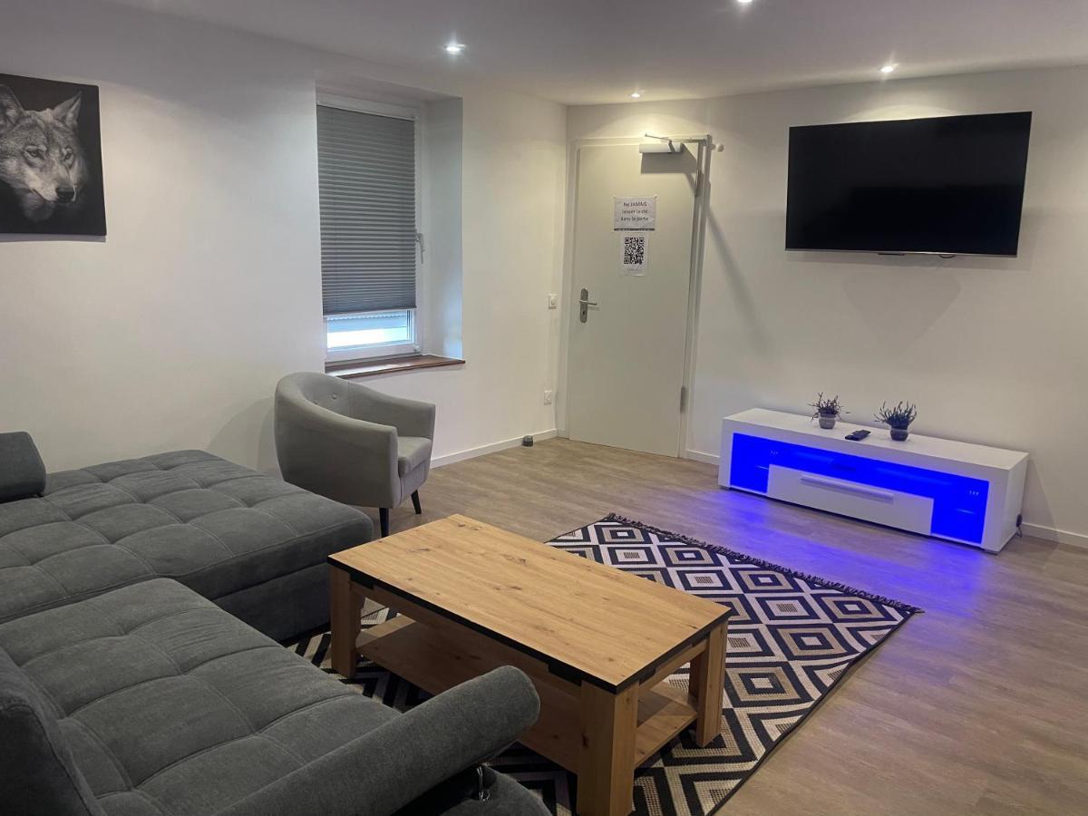 Superbe Appartement Au Rdc Avec Cheminee Villerupt Zewnętrze zdjęcie